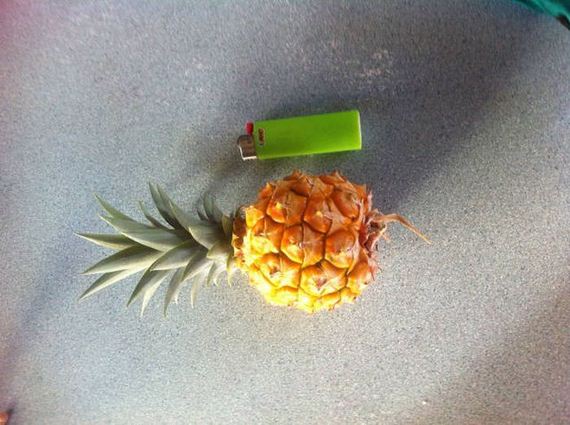 funny-pictures-1170