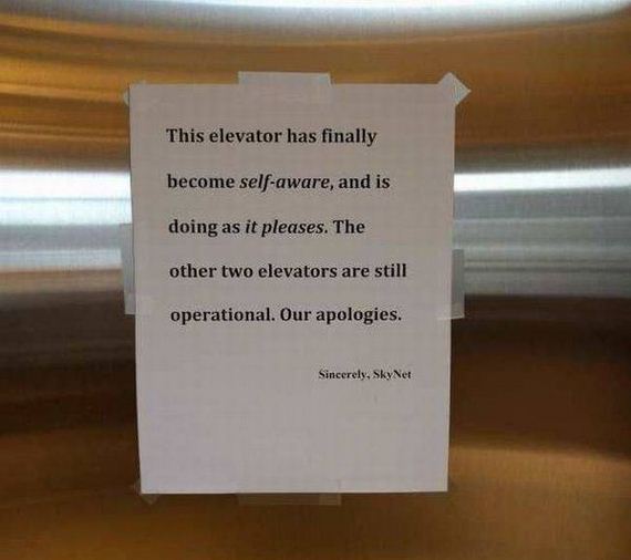 funny-pictures-1170