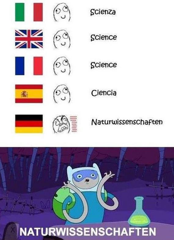 funny-pictures-1171