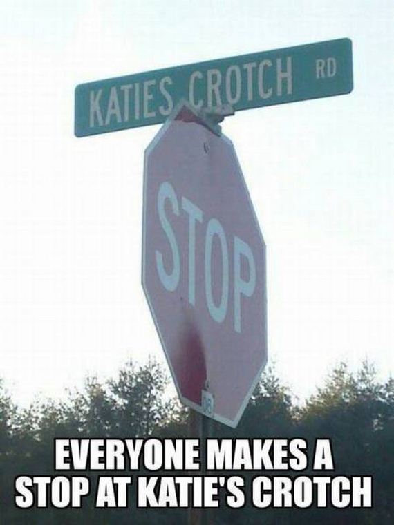 funny-pictures-1171