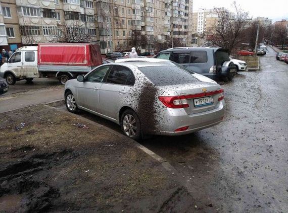 funny-pictures-1172