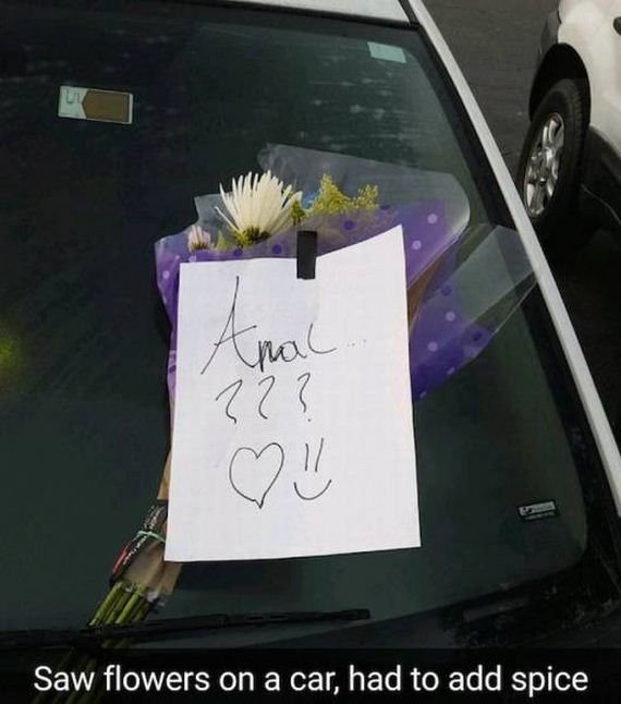 funny-pictures-1172