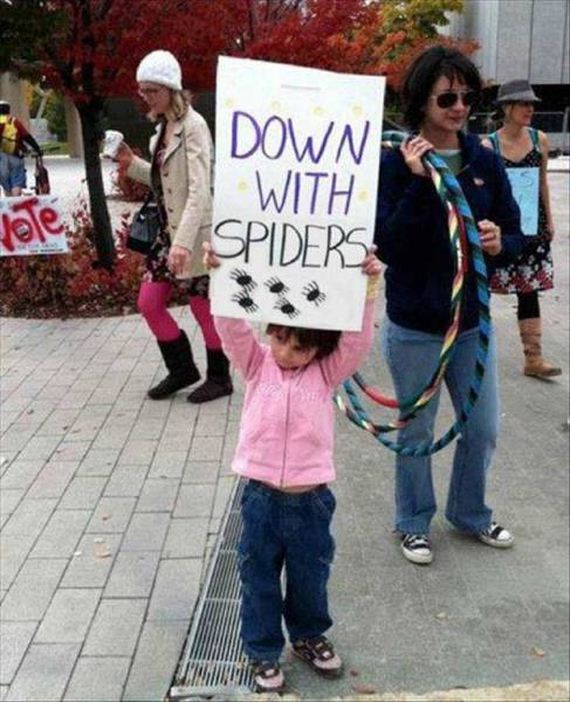 funny-pictures-1172