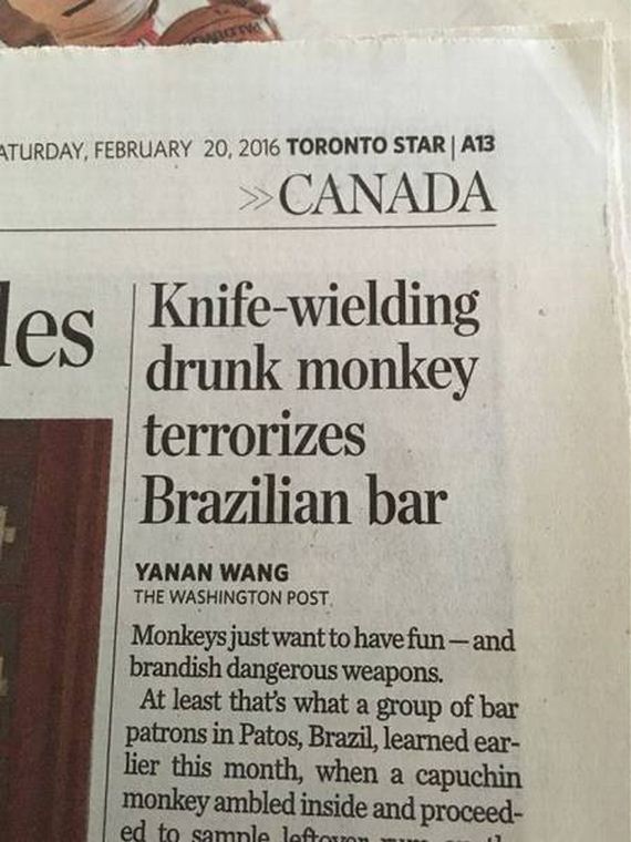 funny-pictures-1172
