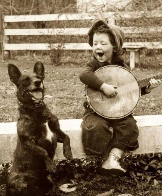 funny-pictures-1172