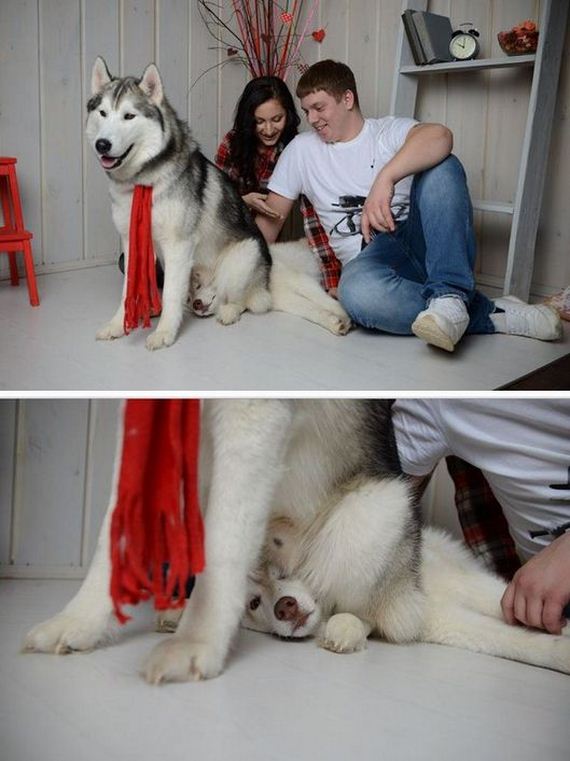 funny-pictures-1173
