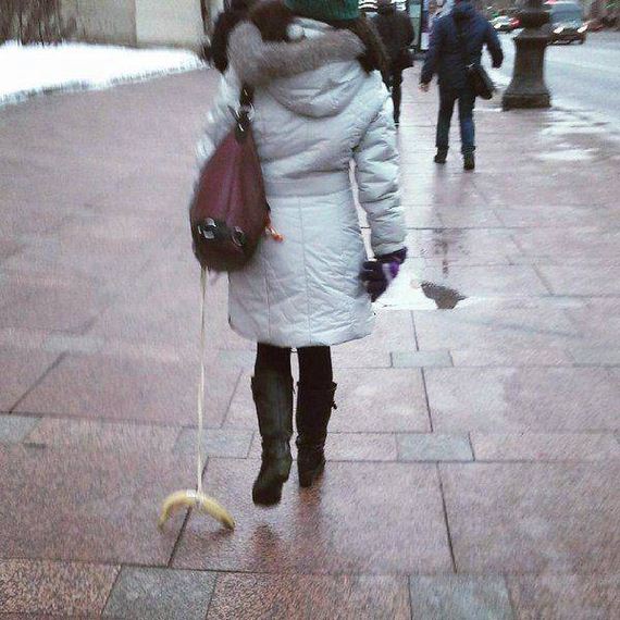 funny-pictures-1173
