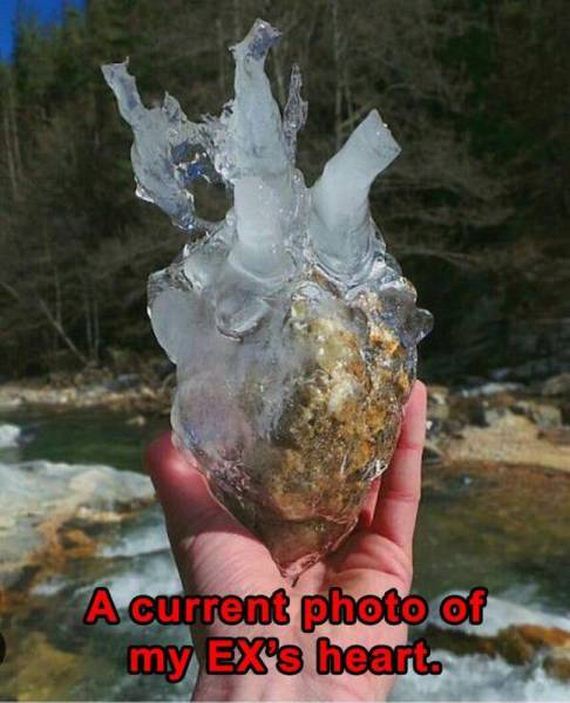 funny-pictures-1173