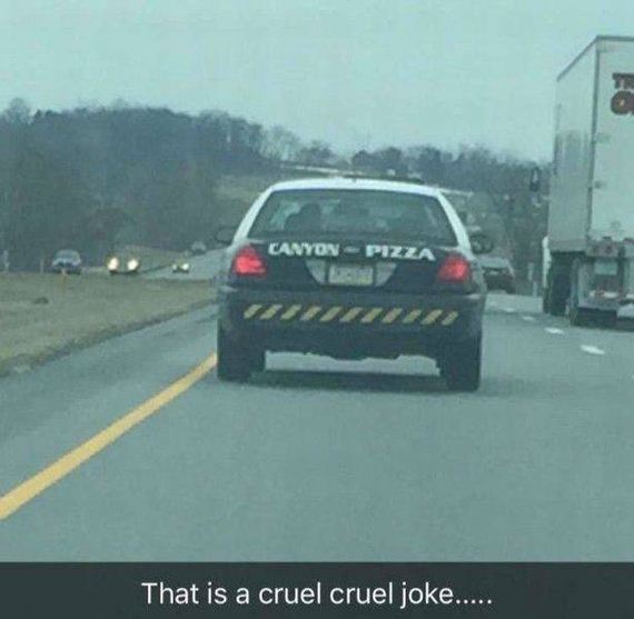 funny-pictures-1173