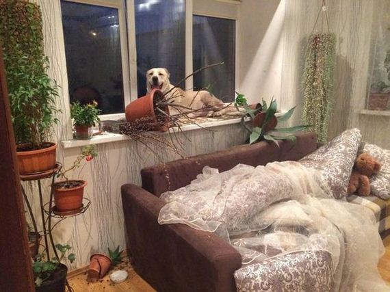 funny-pictures-1174