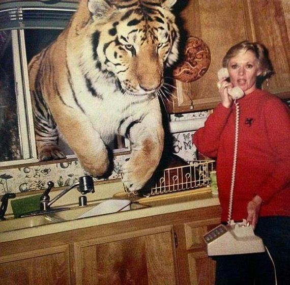funny-pictures-1174