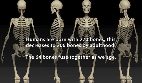 interesting-facts-2-23