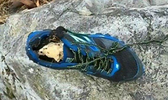 sneaker_canada