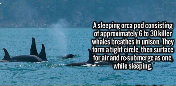stimulating_facts