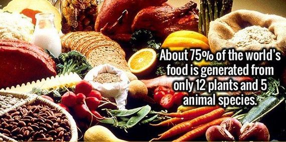 stimulating_facts
