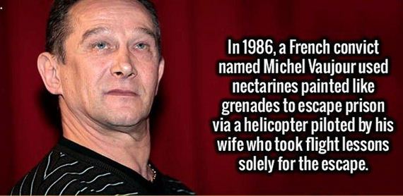stimulating_facts