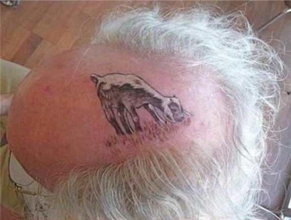 Best-Of-Bad-Situation-3-21