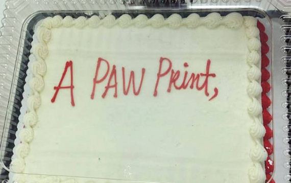 Cake
