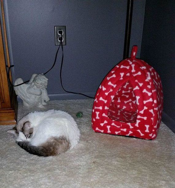 Cats-you-gifts