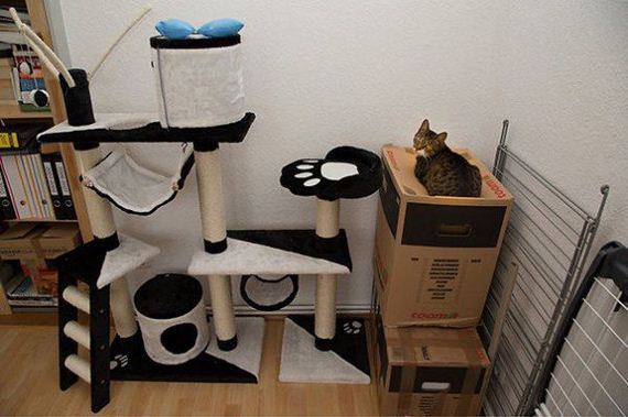 Cats-you-gifts