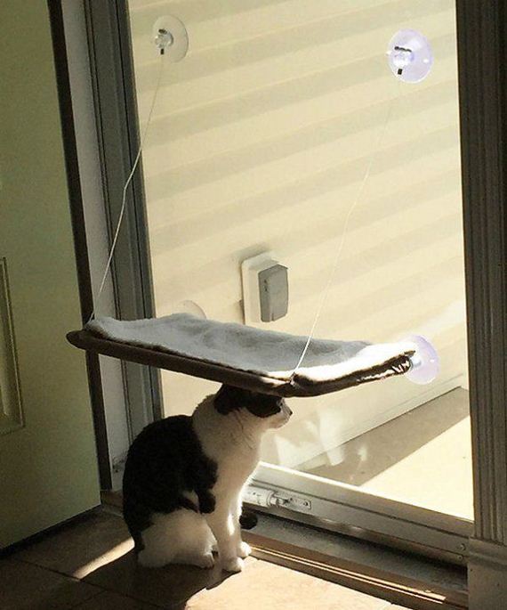 Cats-you-gifts
