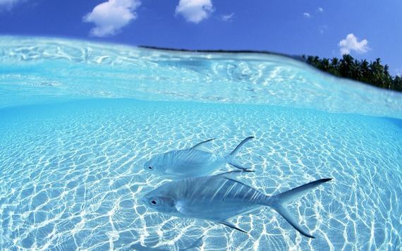 Crystal-Clear-Waters