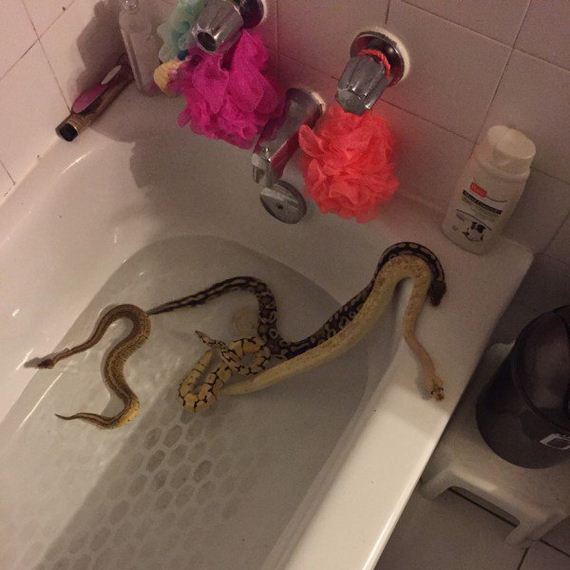 Horrifying-World-Nope