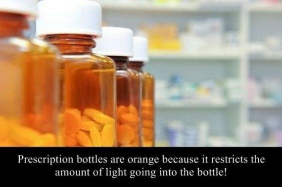 Interesting-Facts-3-14