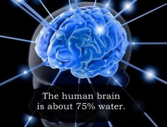 Interesting-Facts-3-14