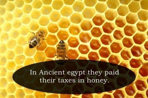 Interesting-Facts-3-14