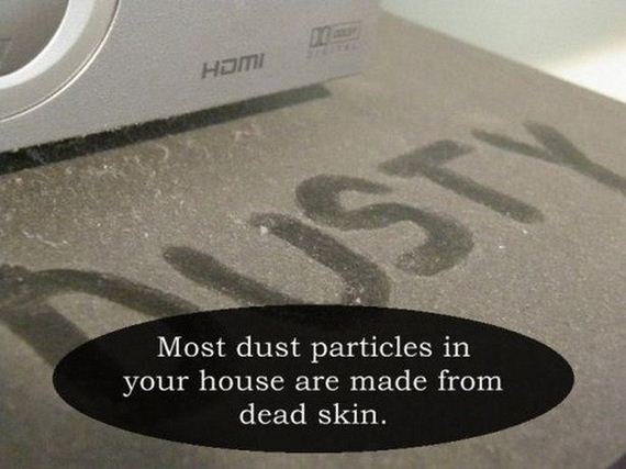 Interesting-Facts-3-14