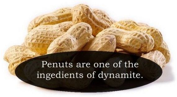 Interesting-Facts-3-14
