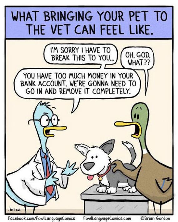Sometimes-Truth-Can-Funny