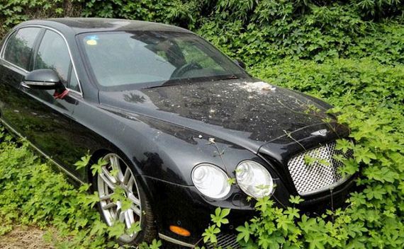 abandoned_car