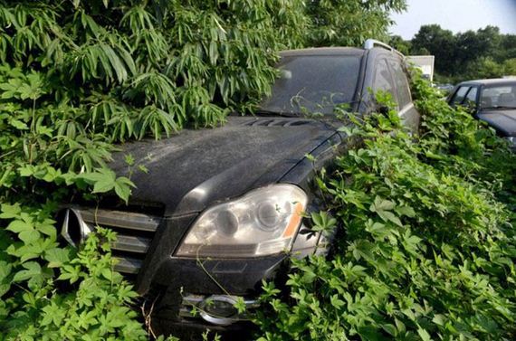 abandoned_car