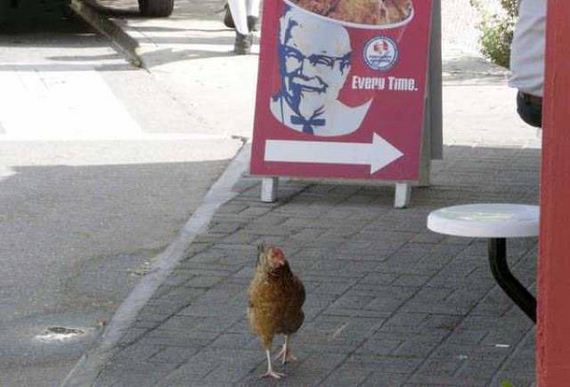 and_not_a_single_fck_was_given_that_day