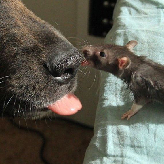 best_friends