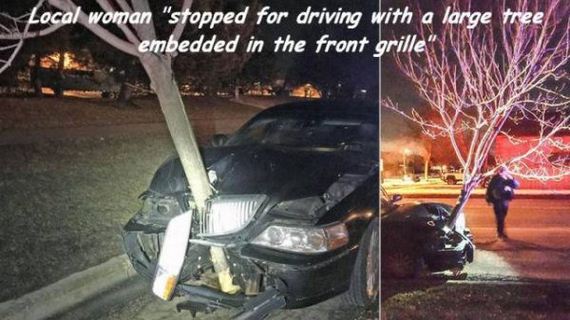 car-wrecks-fails-crashes-funny