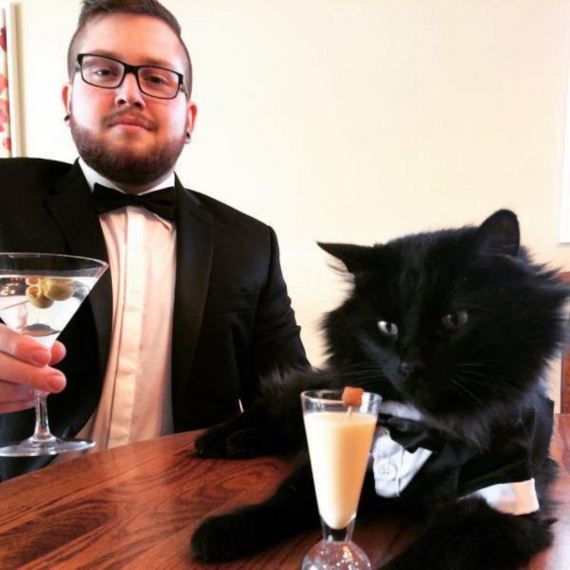 cat-saturday-27-photos