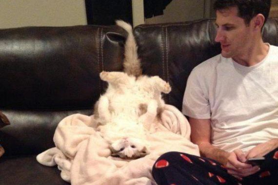 cat-saturday-27-photos