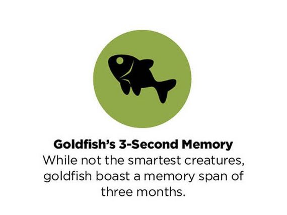 common_misconceptions_explained