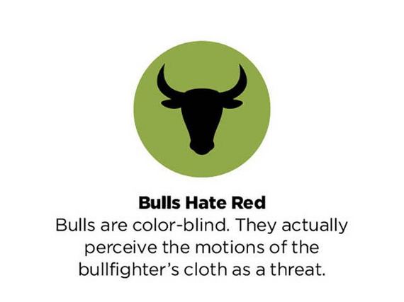 common_misconceptions_explained