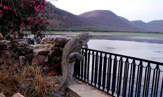 croc_barred_place