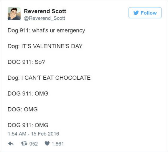 dog_911