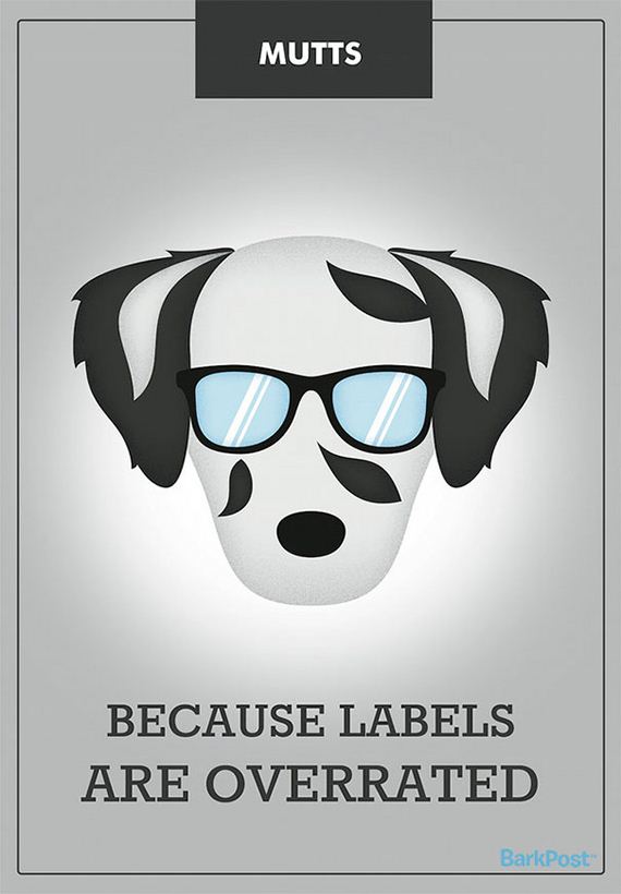 dog_breed_illustrations