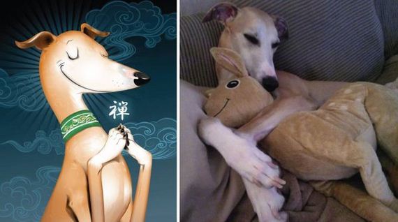 draw-pet-portraits