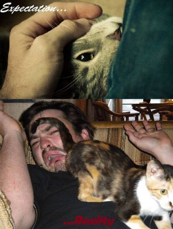 expectation_beats_reality
