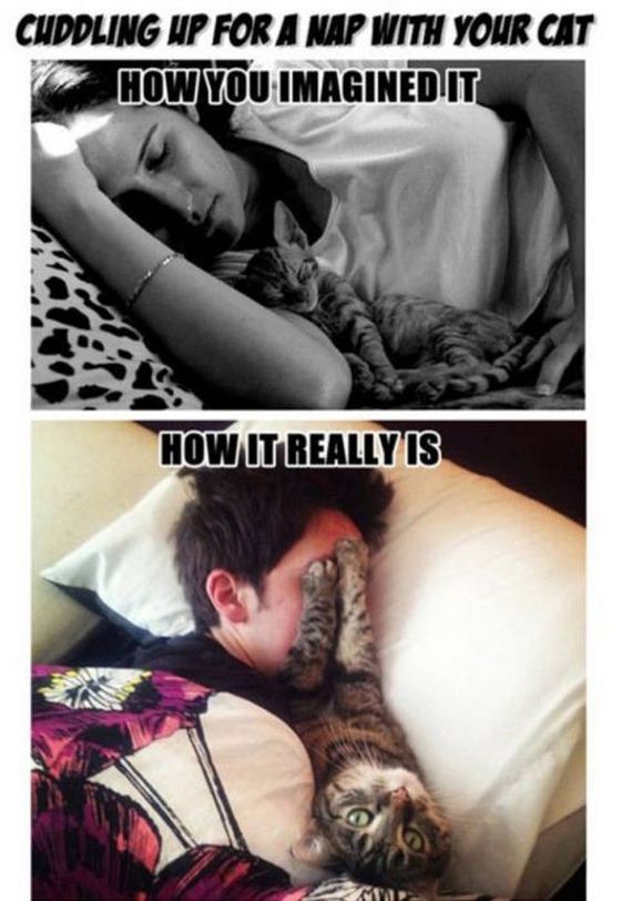 expectation_beats_reality