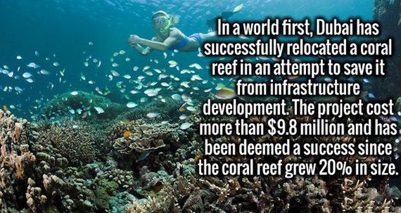 fresh_facts