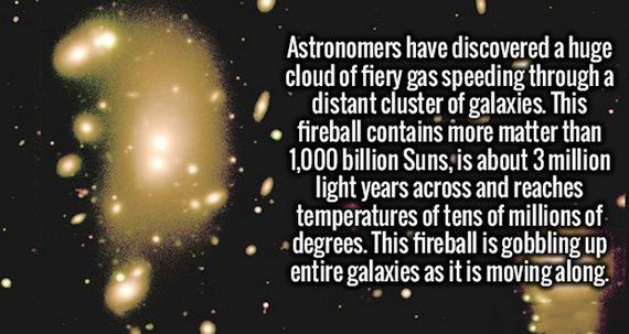 fresh_facts